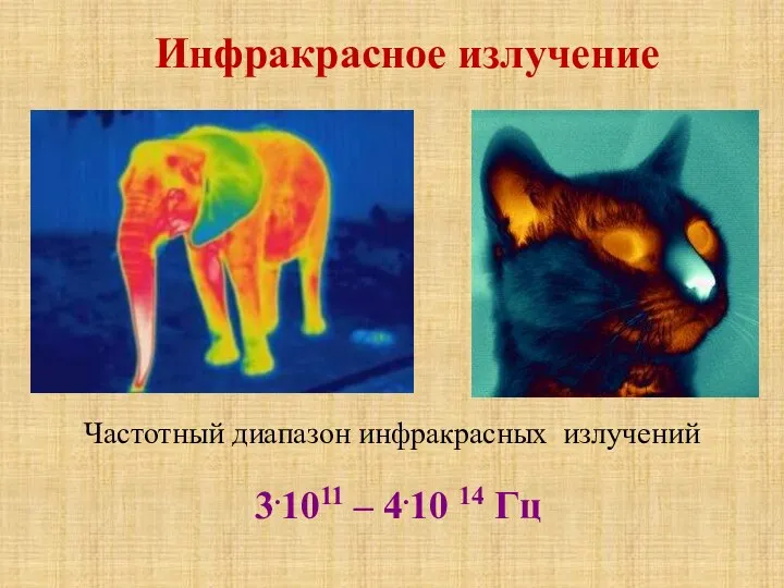 Инфракрасное излучение 3.1011 – 4.10 14 Гц Частотный диапазон инфракрасных излучений