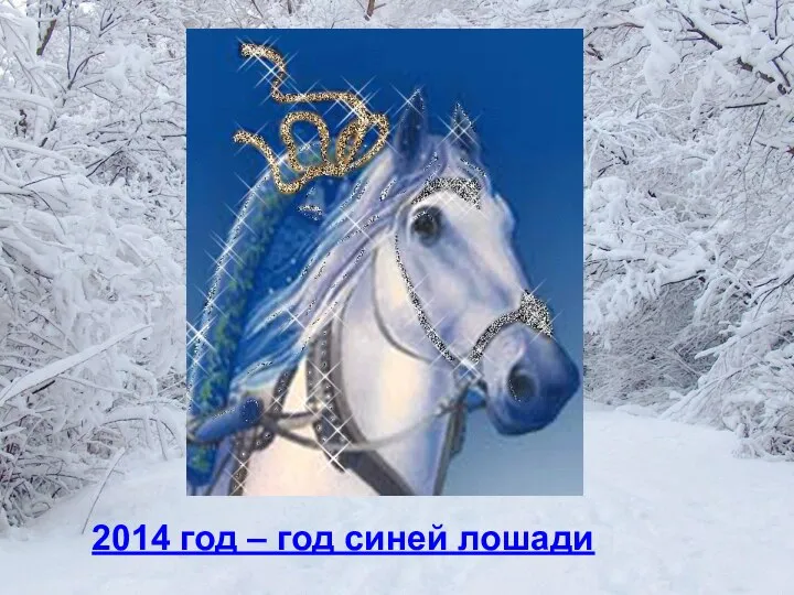 2014 год – год синей лошади