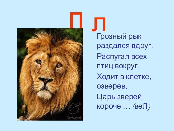 Л л Грозный рык раздался вдруг, Распугал всех птиц вокруг. Ходит