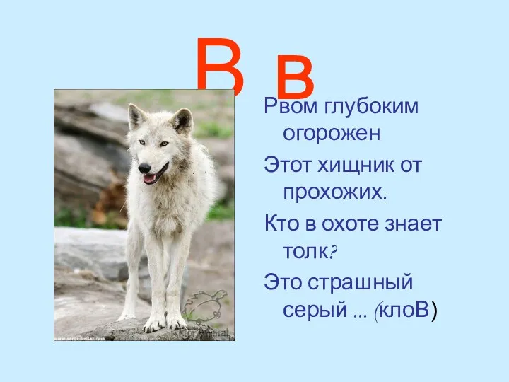 В в Рвом глубоким огорожен Этот хищник от прохожих. Кто в