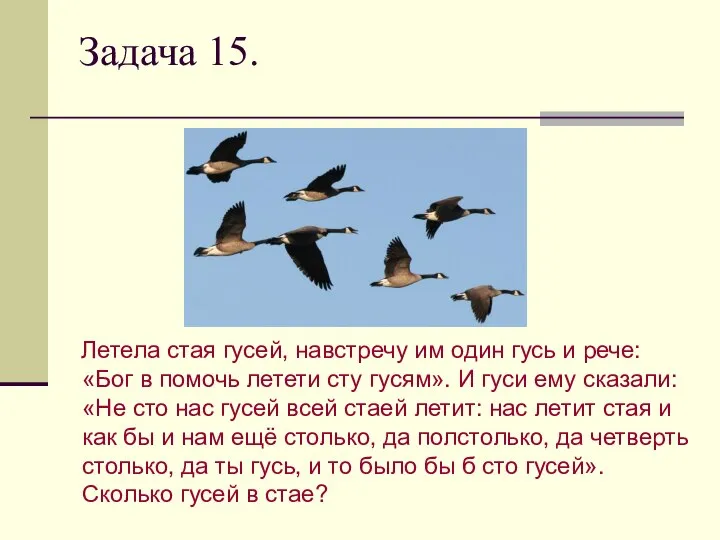 Задача 15. Летела стая гусей, навстречу им один гусь и рече: