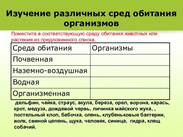 Изучение различных сред обитания организмов дельфин, чайка, страус, акула, береза, орел,