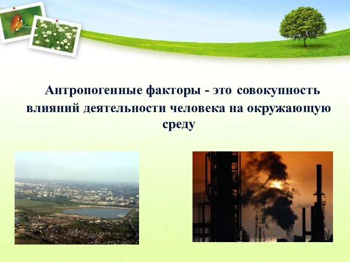 Антропогенные факторы - это совокупность влияний деятельности человека на окружающую среду