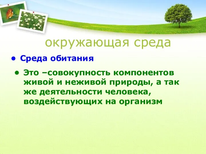 окружающая среда Среда обитания Это –совокупность компонентов живой и неживой природы,