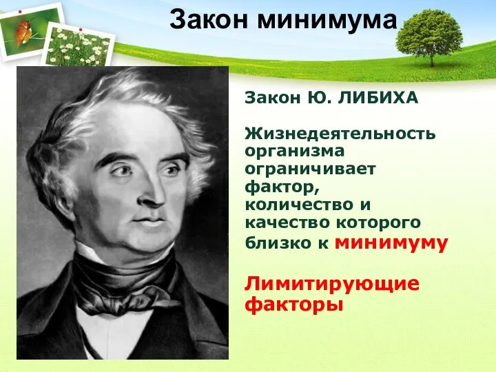 Закон Ю. ЛИБИХА Жизнедеятельность организма ограничивает фактор, количество и качество которого