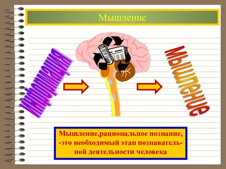 Мышление информация мышление Мышление,рациональное познание, -это необходимый этап познаватель- ной деятельности человека