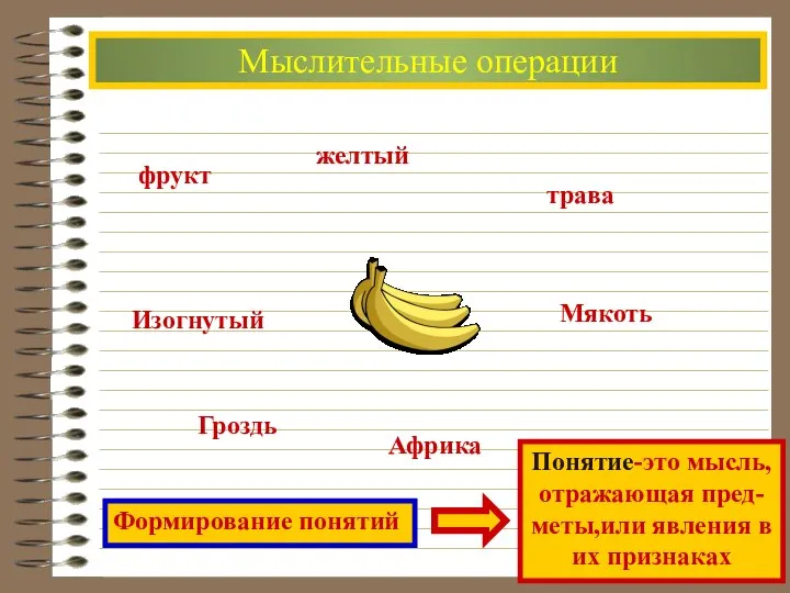 Мыслительные операции фрукт желтый трава Изогнутый Гроздь Африка Мякоть Формирование понятий