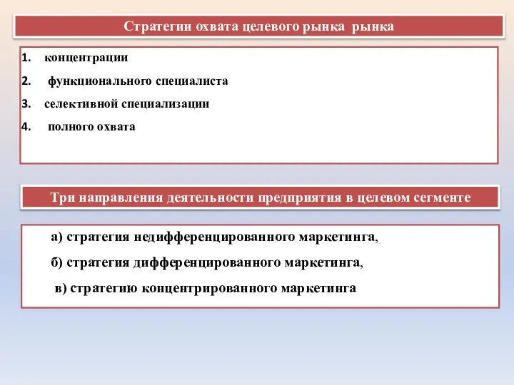 Стратегии охвата целевого рынка рынка концентрации функционального специалиста селективной специализации полного