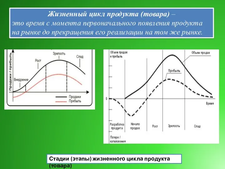 Жизненный цикл продукта (товара) – это время с момента первоначального появления