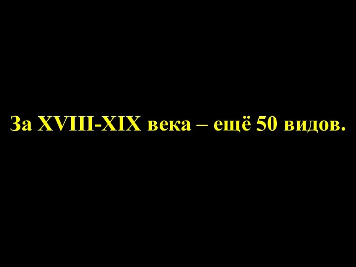 За XVIII-XIX века – ещё 50 видов.