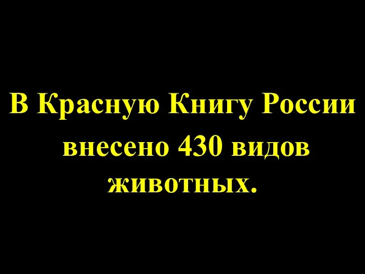 В Красную Книгу России внесено 430 видов животных.