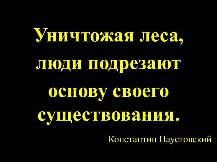 Константин Паустовский Уничтожая леса, люди подрезают основу своего существования.