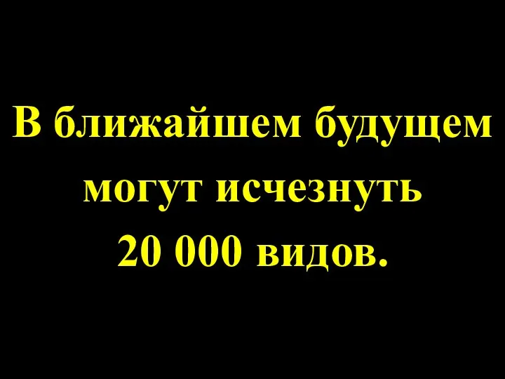 В ближайшем будущем могут исчезнуть 20 000 видов.