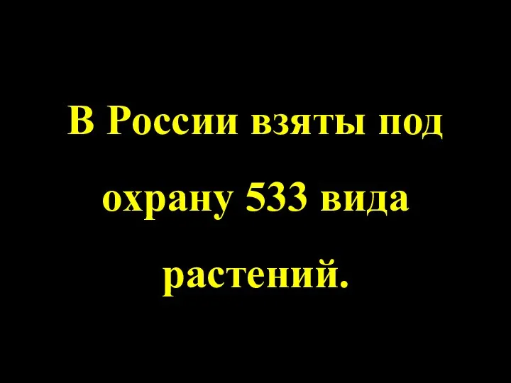 В России взяты под охрану 533 вида растений.