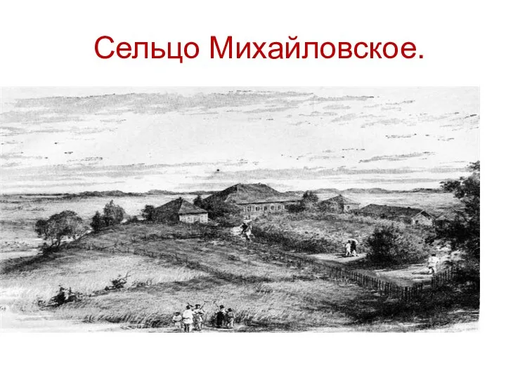 Сельцо Михайловское.