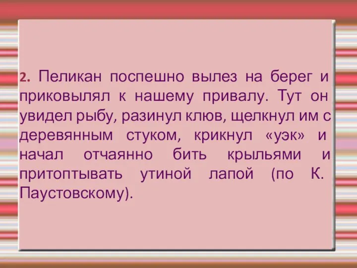 2. Пеликан поспешно вылез на берег и приковылял к нашему привалу.