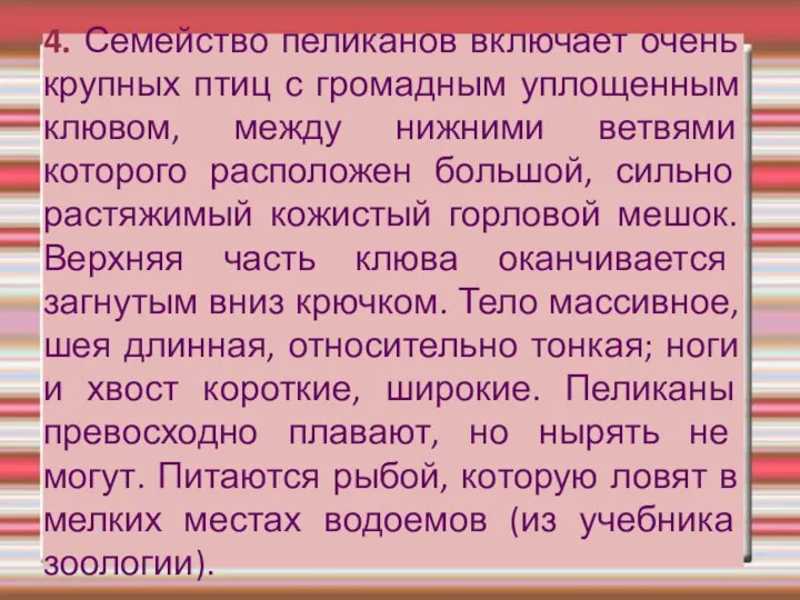 4. Семейство пеликанов включает очень крупных птиц с громадным уплощенным клювом,