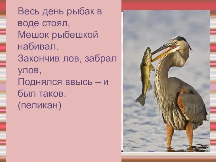 Весь день рыбак в воде стоял, Мешок рыбешкой набивал. Закончив лов,