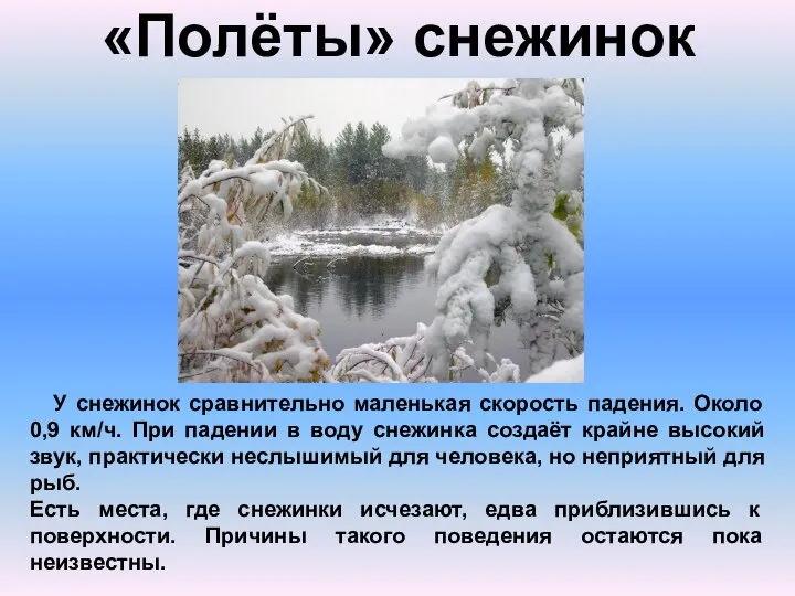 «Полёты» снежинок У снежинок сравнительно маленькая скорость падения. Около 0,9 км/ч.