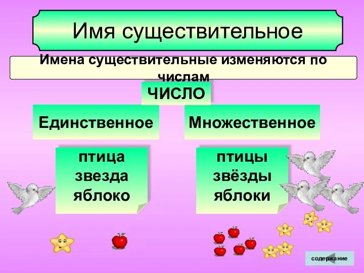 Единственное Множественное Имя существительное ЧИСЛО Имена существительные изменяются по числам птица