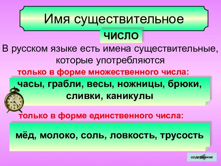 Имя существительное ЧИСЛО В русском языке есть имена существительные, которые употребляются