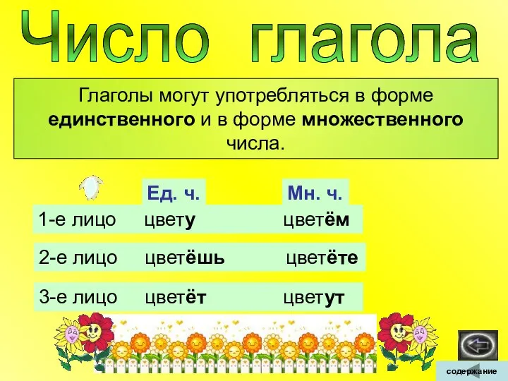 Число глагола Глаголы могут употребляться в форме единственного и в форме