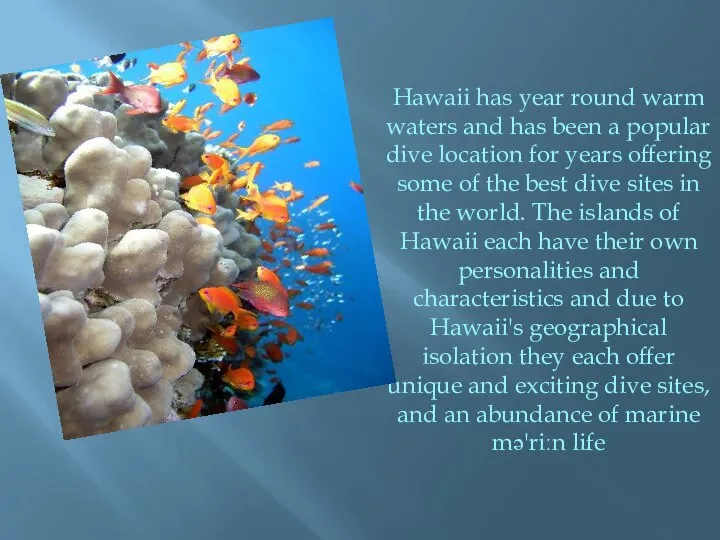 Hawaii has year round warm waters and has been a popular