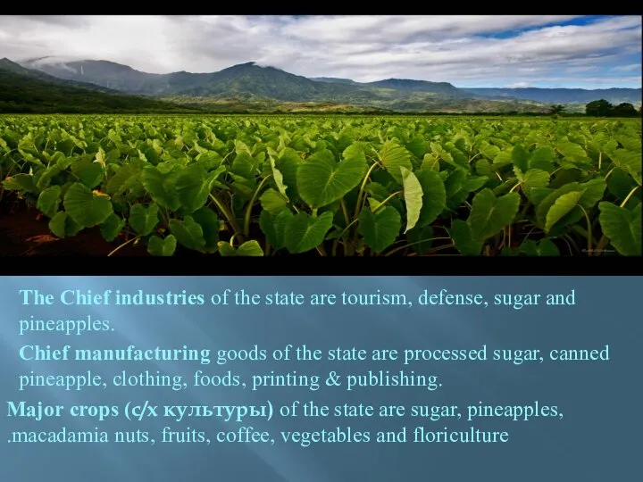 The Chief industries of the state are tourism, defense, sugar and