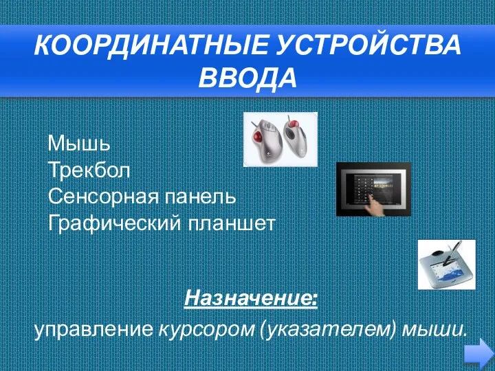 КООРДИНАТНЫЕ УСТРОЙСТВА ВВОДА Назначение: управление курсором (указателем) мыши. Мышь Трекбол Сенсорная панель Графический планшет