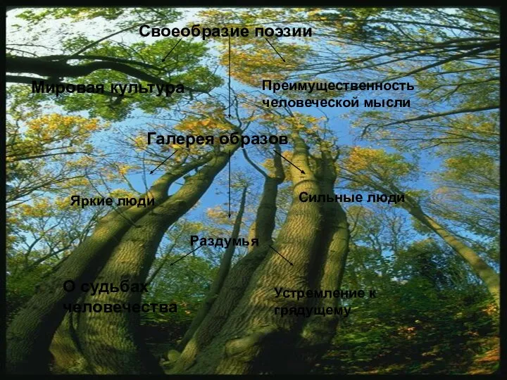 Своеобразие поэзии Мировая культура Преимущественность человеческой мысли Галерея образов Яркие люди