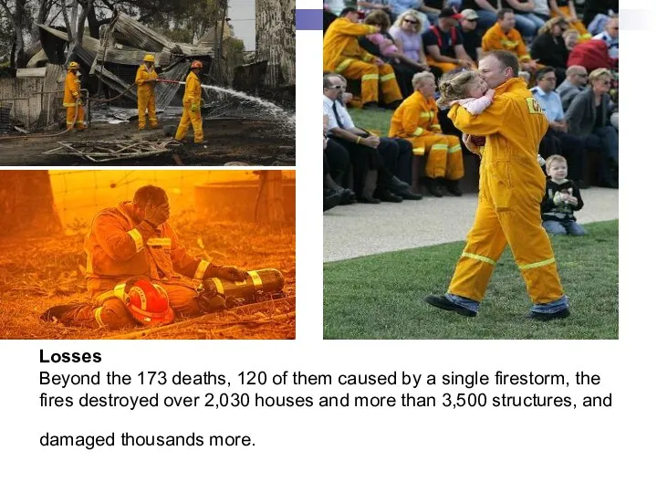 Losses Beyond the 173 deaths, 120 of them caused by a