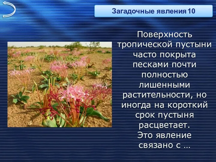 Поверхность тропической пустыни часто покрыта песками почти полностью лишенными растительности, но