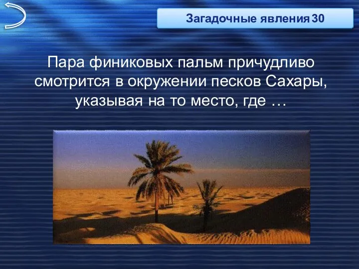 Пара финиковых пальм причудливо смотрится в окружении песков Сахары, указывая на