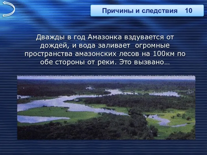 Дважды в год Амазонка вздувается от дождей, и вода заливает огромные