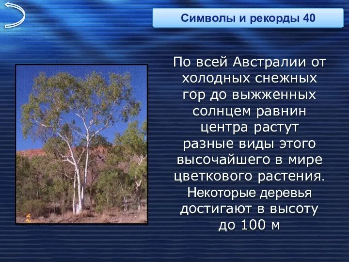 По всей Австралии от холодных снежных гор до выжженных солнцем равнин