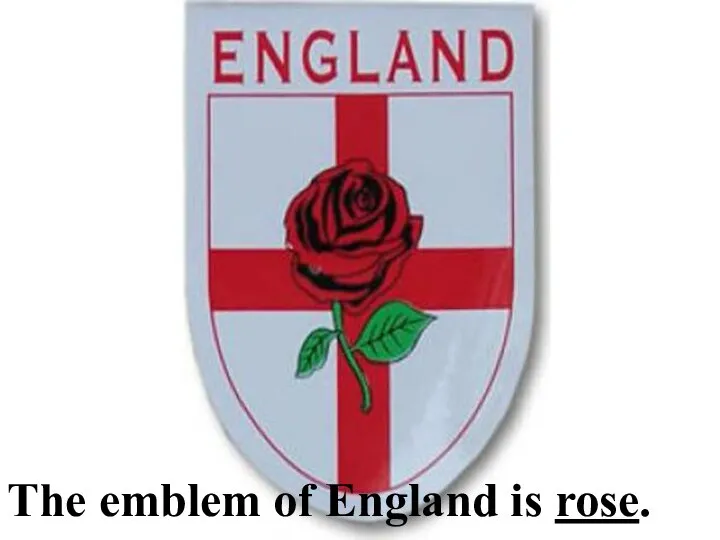 The emblem of England is rose.