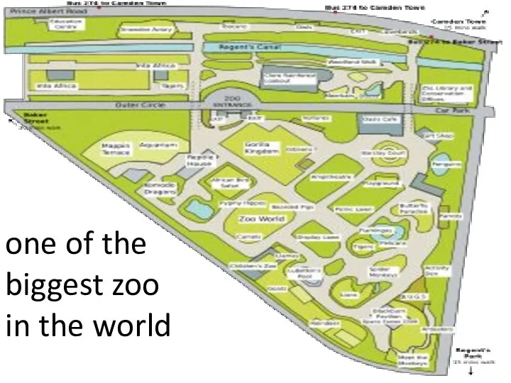 one of the biggest zoo in the world