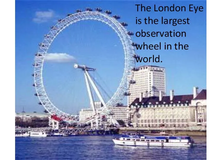 The London Eye is the largest observation wheel in the world.