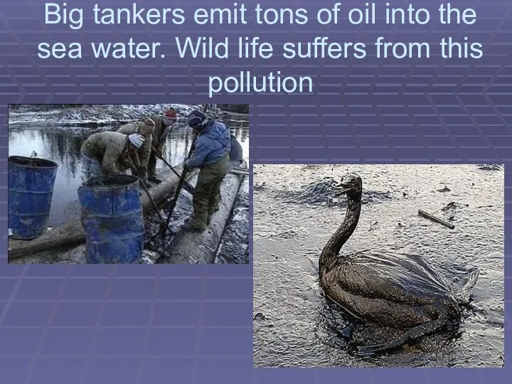 Big tankers emit tons of oil into the sea water. Wild life suffers from this pollution