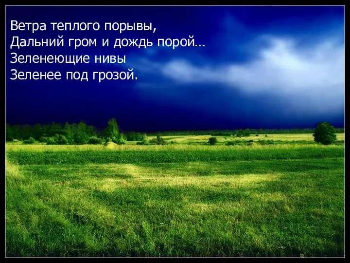 Ветра теплого порывы, Дальний гром и дождь порой… Зеленеющие нивы Зеленее под грозой.