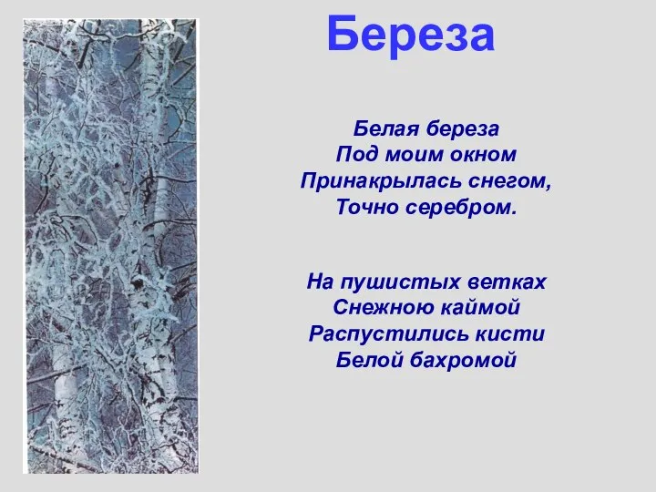 Береза Белая береза Под моим окном Принакрылась снегом, Точно серебром. На