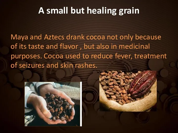 A small but healing grain Maya and Aztecs drank cocoa not