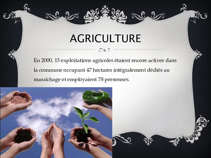 Agriculture En 2000, 15 exploitations agricoles étaient encore actives dans la