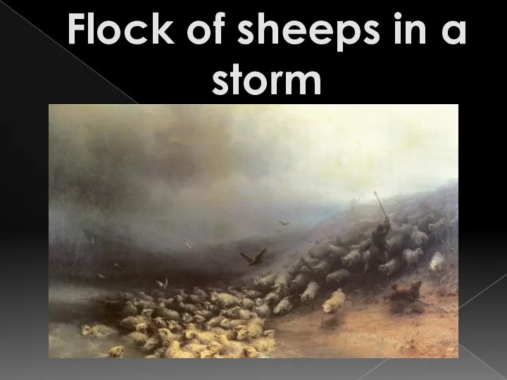 Flock of sheeps in a storm