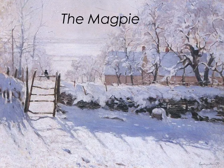 The Magpie