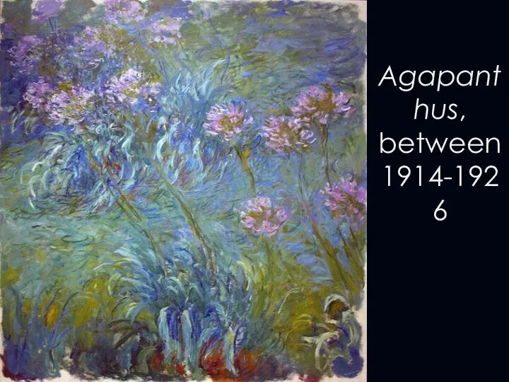 Agapanthus, between 1914-1926