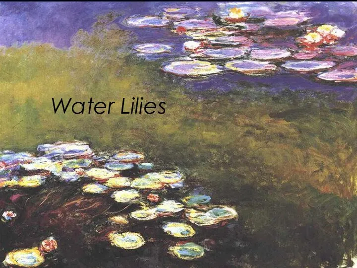 Water Lilies