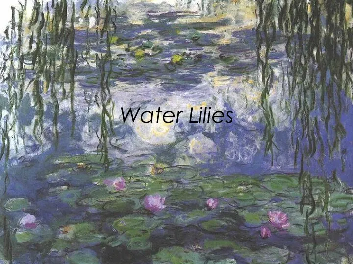 Water Lilies