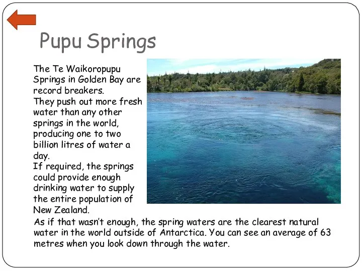 Pupu Springs The Te Waikoropupu Springs in Golden Bay are record