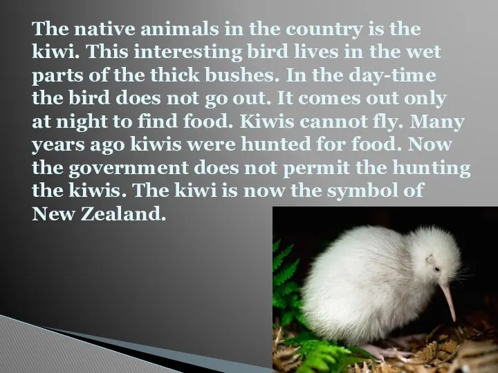 The native animals in the country is the kiwi. This interesting